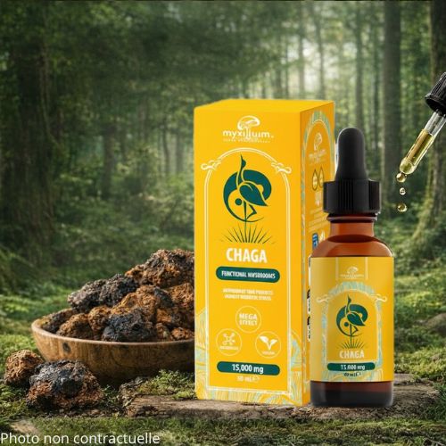 Extrait Pur Champignon Chaga en Gouttes | MYXILLUIM