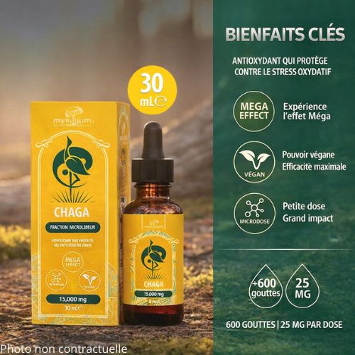 Extrait Pur Champignon Chaga en Gouttes | MYXILLUIM