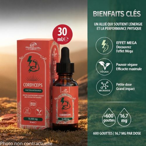Extrait Pur Champignon Cordyceps militaris en Gouttes | MYXILLUIM