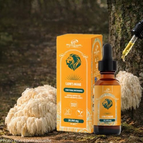 Extrait Pur  Champignon Lion's Mane (Hericium) en Gouttes | MYXILLUIM