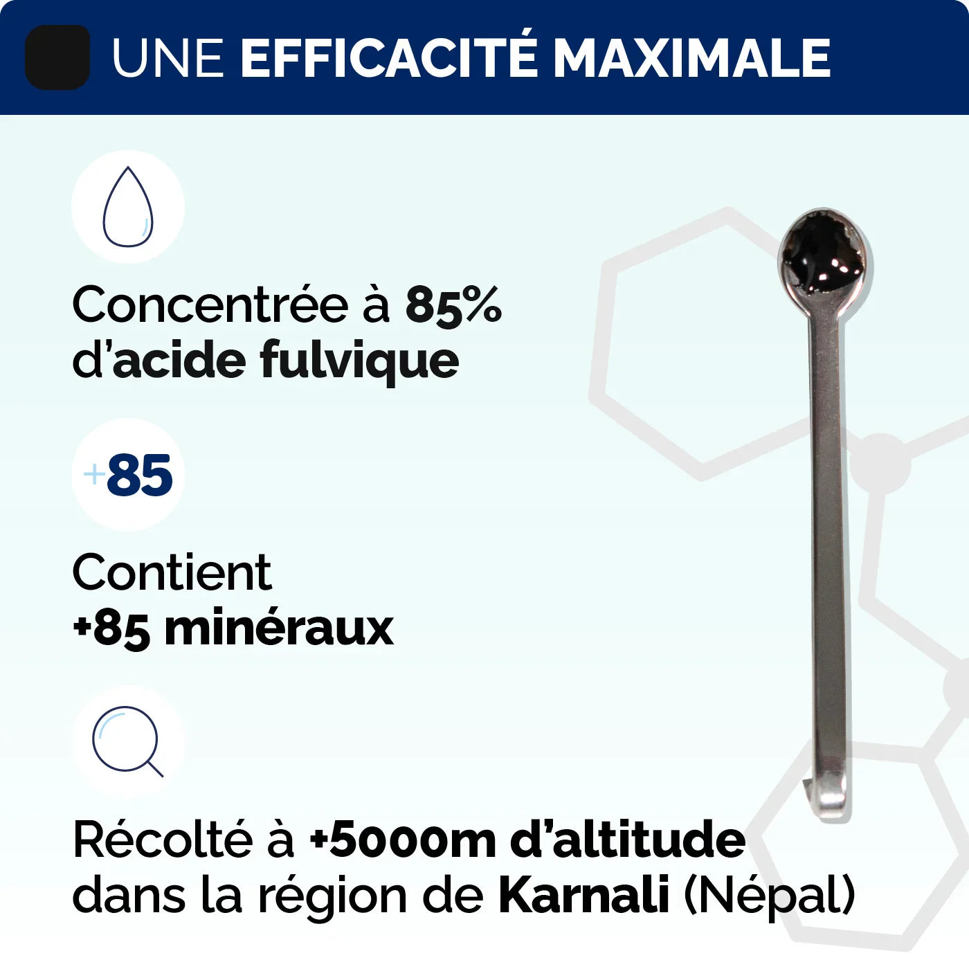 🏆 Shilajit Premium : 86,2% d'Acide Fulvique | Test Labo 🔬