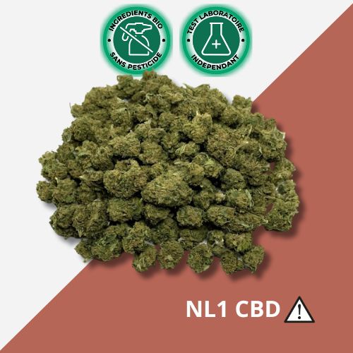 Small Bud CBD ( pas cher ) Berry NL-1 10%